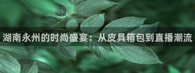 必一运动B-Sport官方网站入口