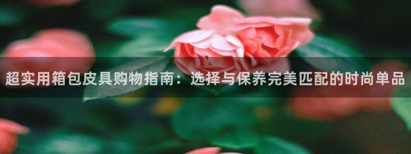 必一运动体育app
