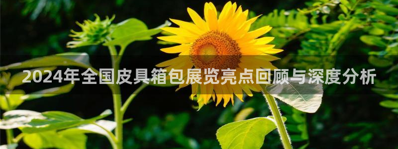 必一体育sportB体育