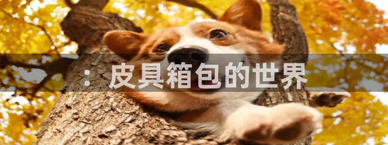 必一运动·(B-Sports)