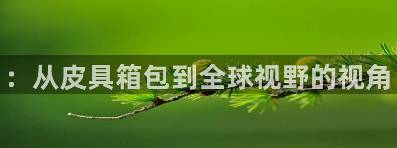 必一运动 b 体育素描版