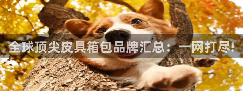 必一体育