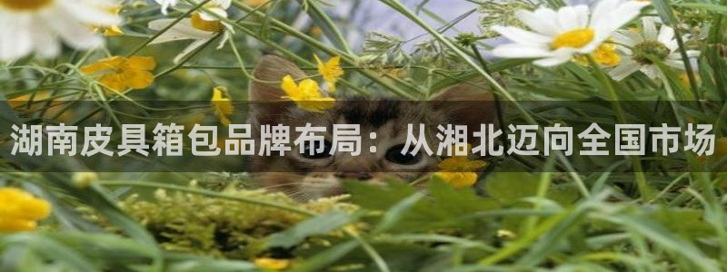 必一体育游戏玩法