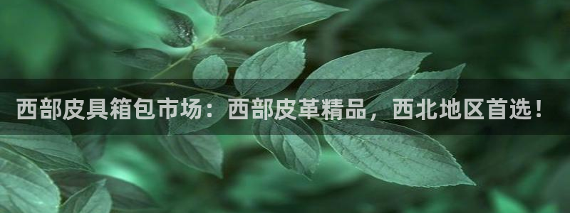 必一体育网址