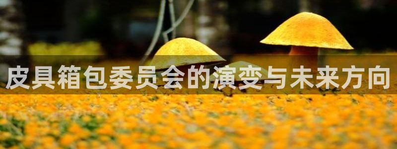 必一体育app官方正版下载