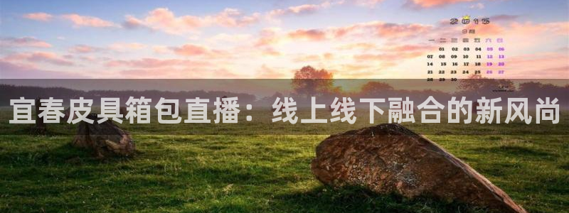 Bsport体育app必一