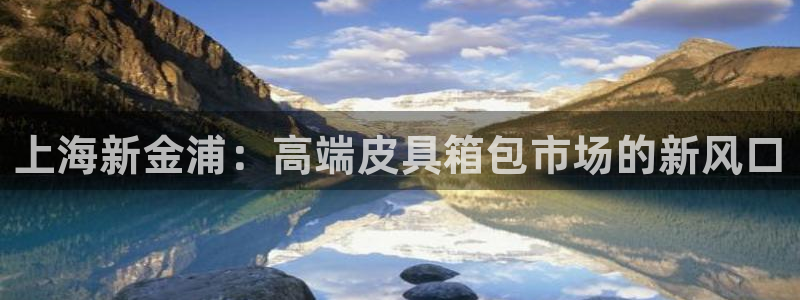 必一体育app官方正版下载