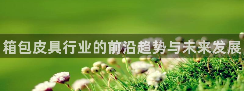 必一体育登陆