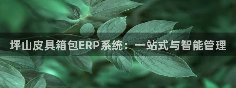 必一体育官方下载入口