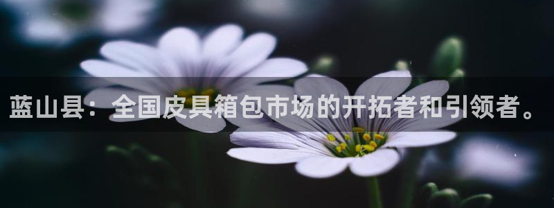 必一运动官网装机吧