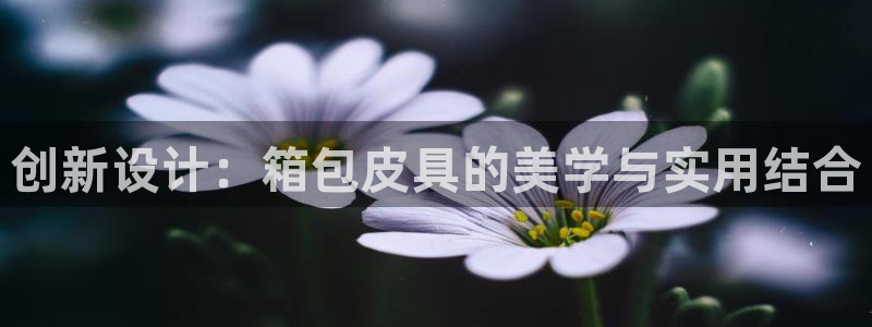 必一运动验证码