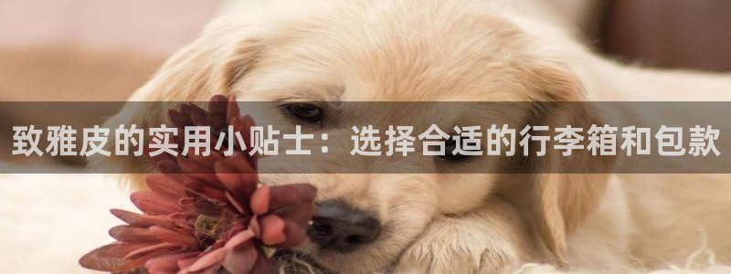 必一运动