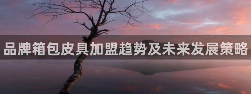 Bsport体育必一