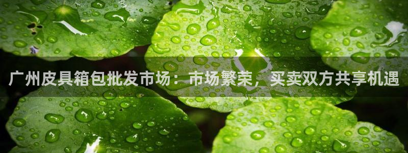 必一体育官网网站