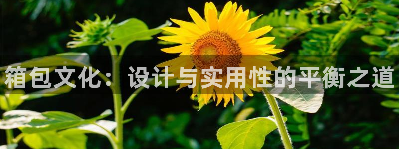 必一体育流水线是什么意思