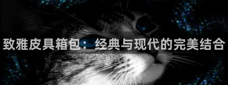 b体育官网下载入口app必一