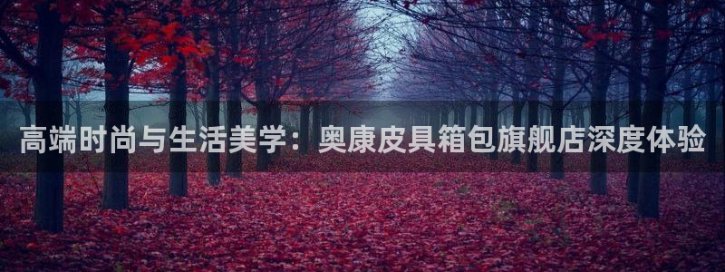 必一运动 b 体育素描版
