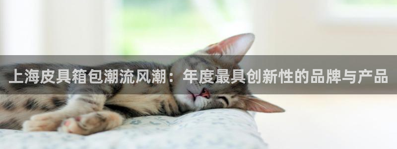 必一体育sport