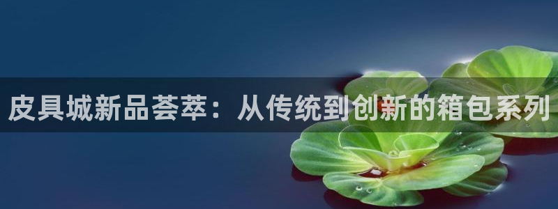 必一体育怎么下载