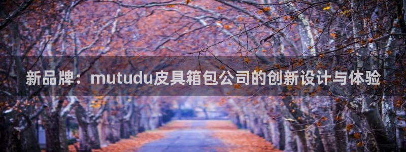 必一体育sport下载