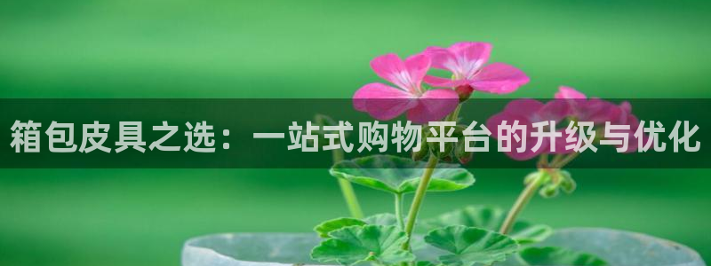 必一运动·体育